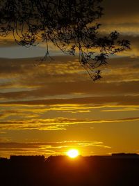 Silhouette tree against sky during sunset