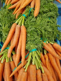 High angle view of vegetables for sale at market