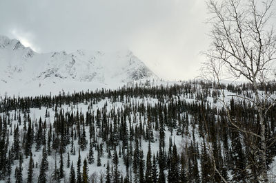 Scenic view of lake against sky during winter