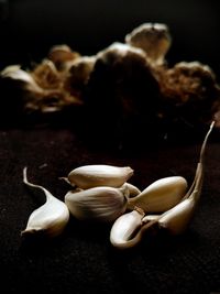 Close-up of garlic on table against black background