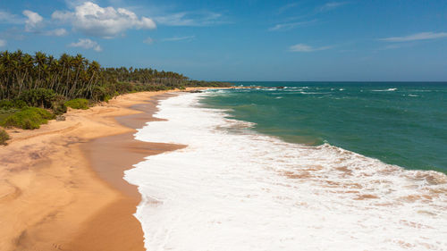 Aerial view of sandy beach with palm trees and ocean surf with waves. sri lanka.