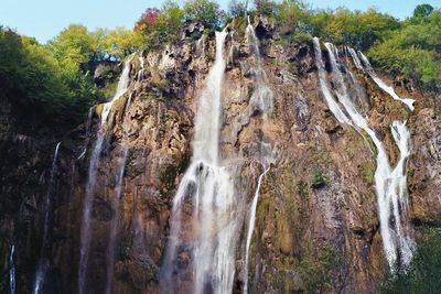Low angle view of waterfall in forest