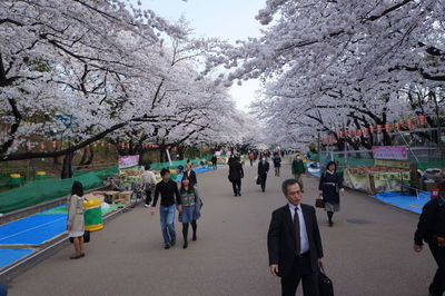 People in park