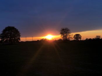 Silhouette trees on field against sky during sunset