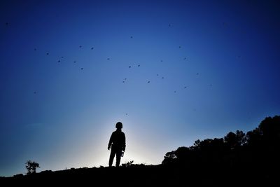 Silhouette man standing by birds against blue sky