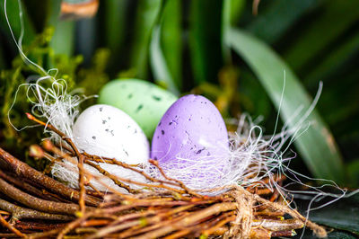 Bird nest with colorful easter eggs on branches of green trees, easter decoration, selective focus