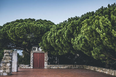 Trees and bushed on the side of an old stone wall ruins and red tiled floor