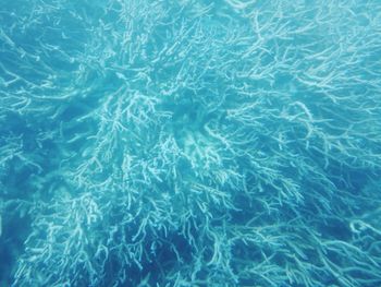 Full frame shot of swimming pool