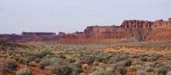 Southwest landscape