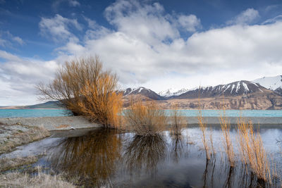 Scenic view of lake against sky. morning view of lake pukaki east bank.