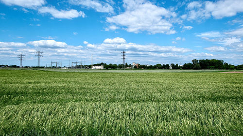 Scenic view of field against sky