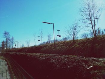 Empty road along trees