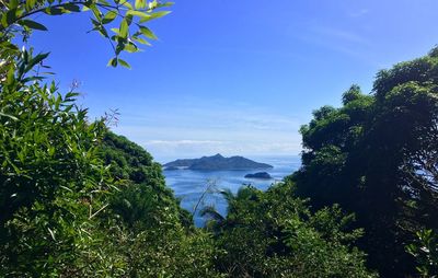 Scenic view of sea against blue sky