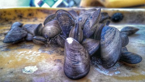 Close-up of food