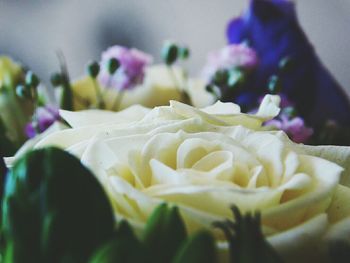 Close-up of yellow rose bouquet