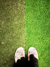 Low section of person standing on field