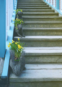 Staircase by steps