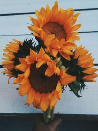 Close-up of sunflowers blooming in vase