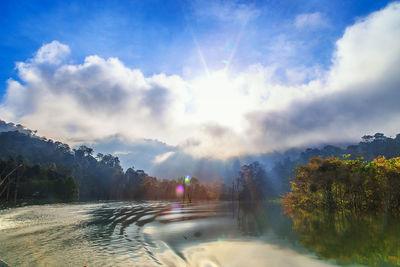 Scenic view of river amidst trees against sky