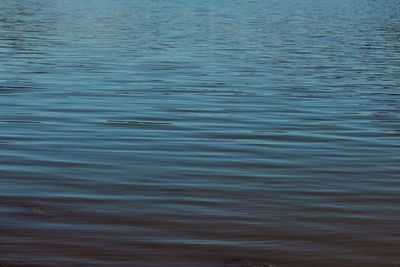 Full frame shot of rippled lake