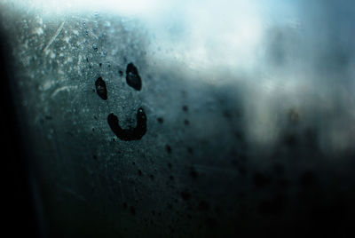 Close-up of anthropomorphic face on window