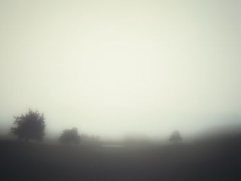 Silhouette trees on field against sky