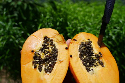 Close-up of orange fruit