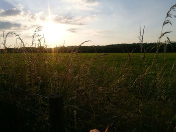 Scenic view of field against sky during sunset