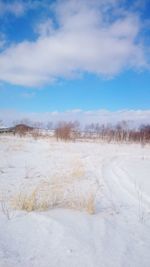 Scenic view of snow covered field