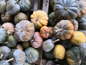 Full frame shot of pumpkins at market