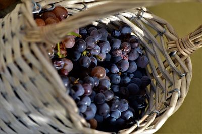 High angle view of grapes in basket