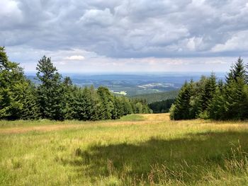 Nature scenery with green field and cloudy sky