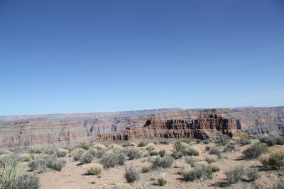 Scenic view of landscape against clear sky