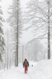 Man with dog walking in deep fresh snow in forest