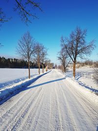 Bare trees on snow covered field against sky