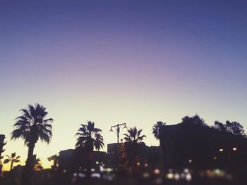 Low angle view of silhouette trees against sky at night