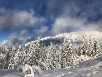 Snowshoeing at seymour mountain, north vancouver, bc, canada