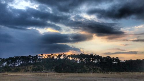 Scenic view of trees against dramatic sky during sunset