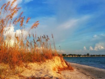 Scenic view of sea against cloudy sky