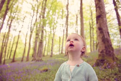 Portrait of boy looking away in forest