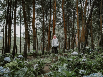 Rear view of person standing by trees in forest