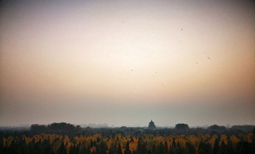 Scenic view of field against sky at sunset