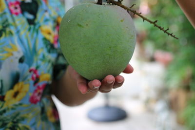 Close-up of hand holding fruit