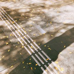 High angle view of wet street