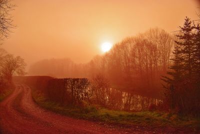 Road amidst trees against sky during sunset