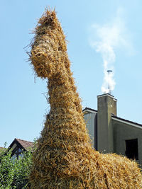 Low angle view of horse made of straw outside house against sky