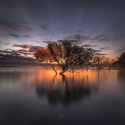 Scenic view of lake at sunset