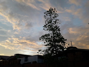 Low angle view of tree and building against sky