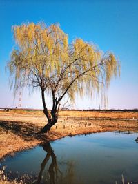 Scenic view of calm lake against clear sky