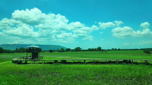 Scenic view of agricultural field against sky
